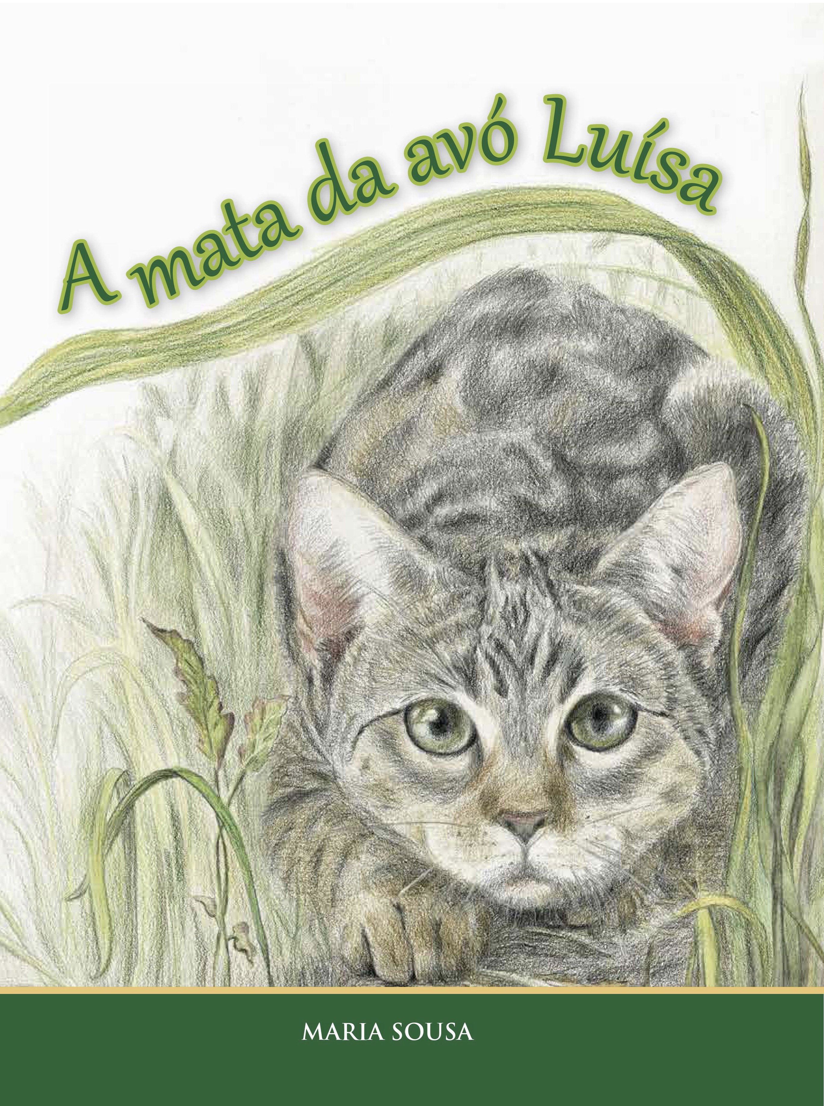 Cuidado e-um-Dragao