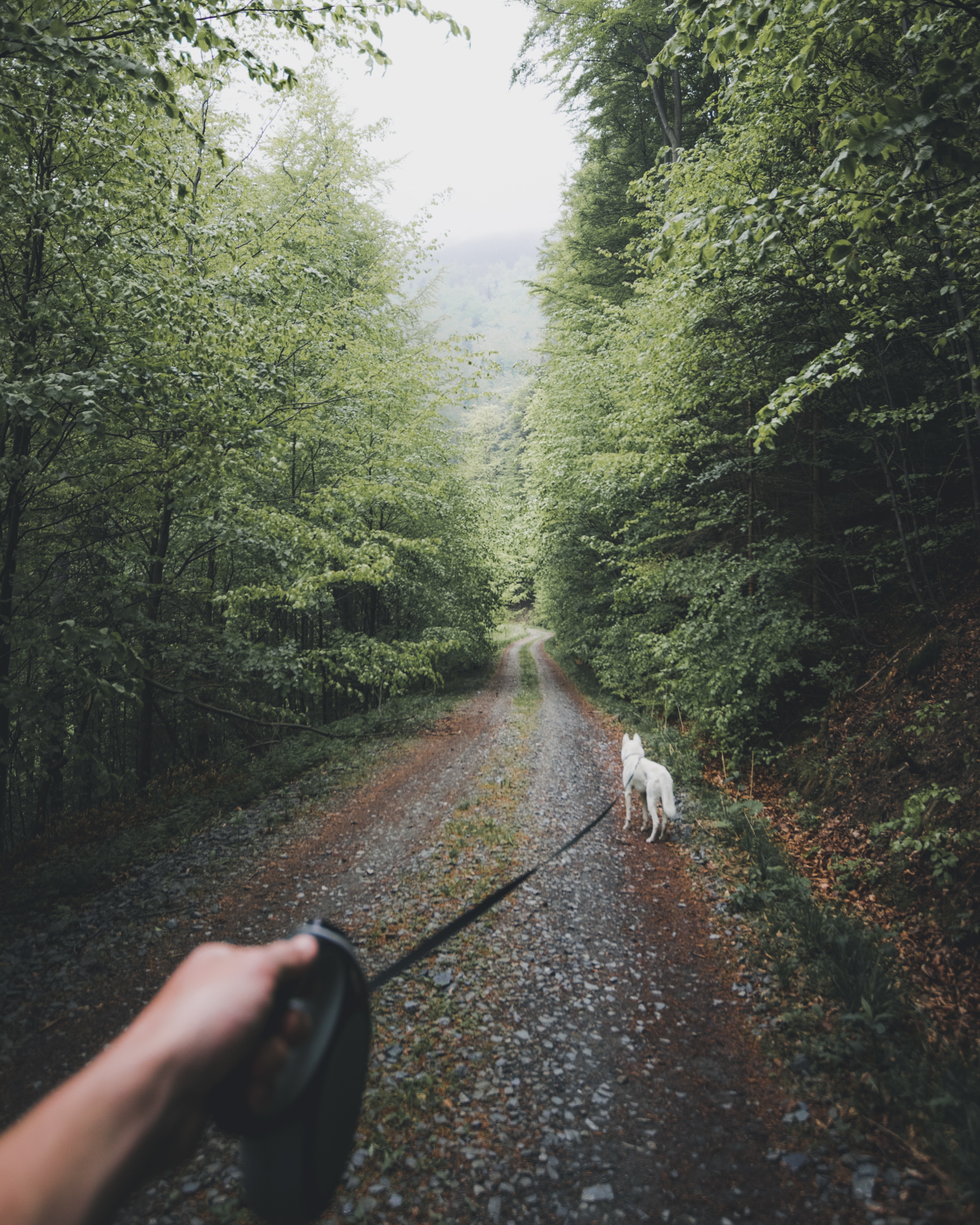 marek szturc-cnVvOfBpHok-unsplash